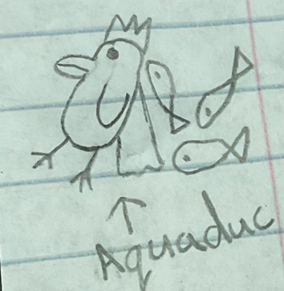 The team logo for the AquaDuc  club.