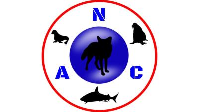 The team logo for the Nerd Animal Club club.